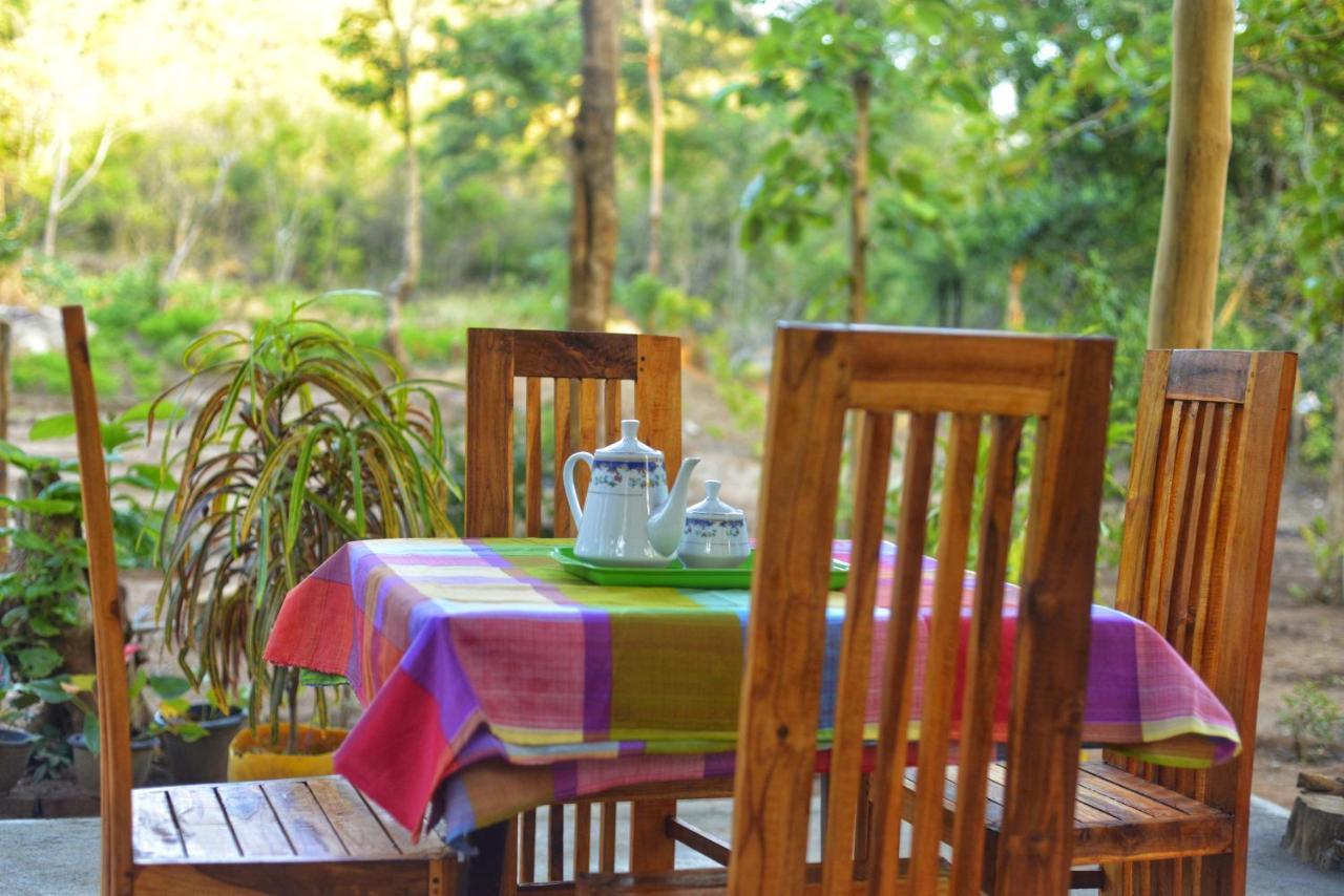 Pidurangala View Treehouse Leilighet Sigiriya Eksteriør bilde