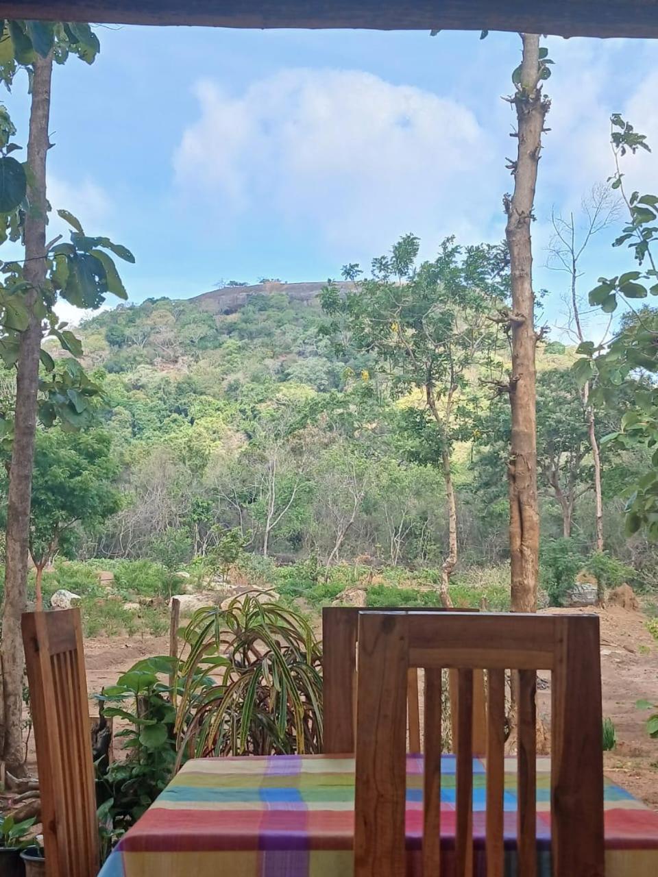 Pidurangala View Treehouse Leilighet Sigiriya Eksteriør bilde