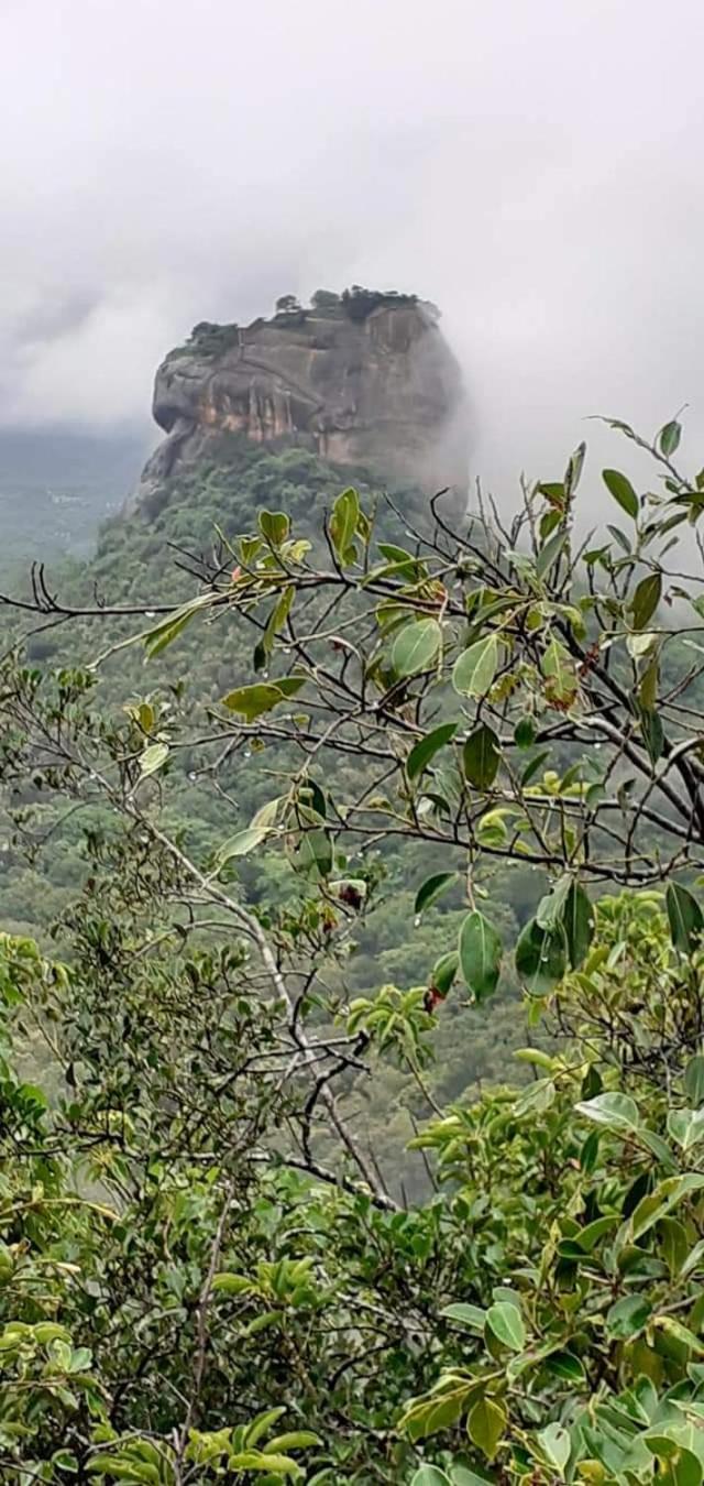Pidurangala View Treehouse Leilighet Sigiriya Eksteriør bilde