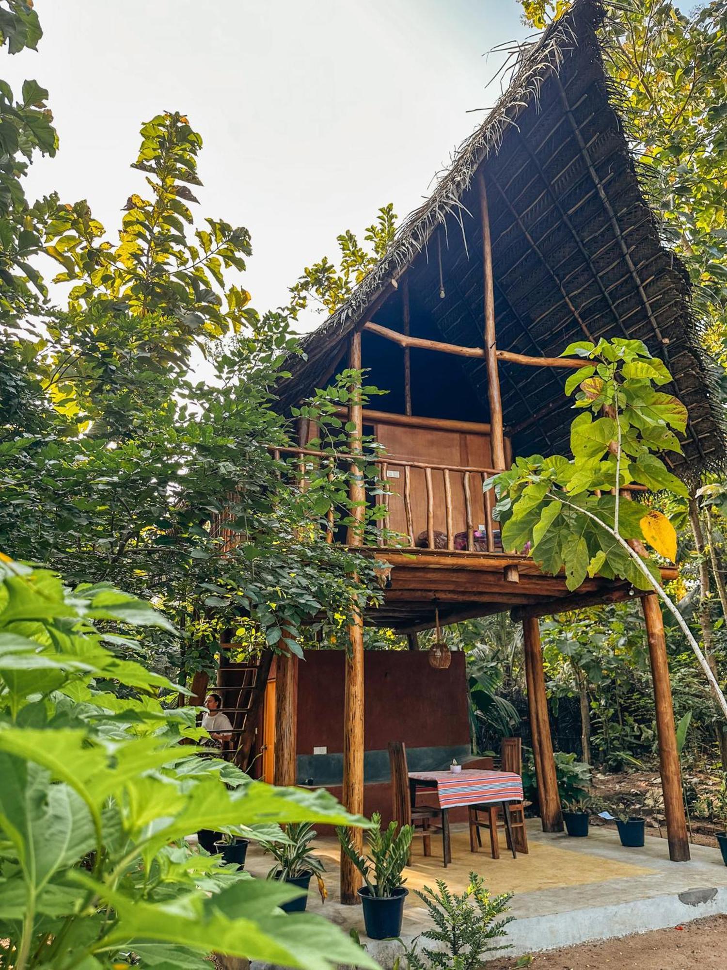 Pidurangala View Treehouse Leilighet Sigiriya Eksteriør bilde