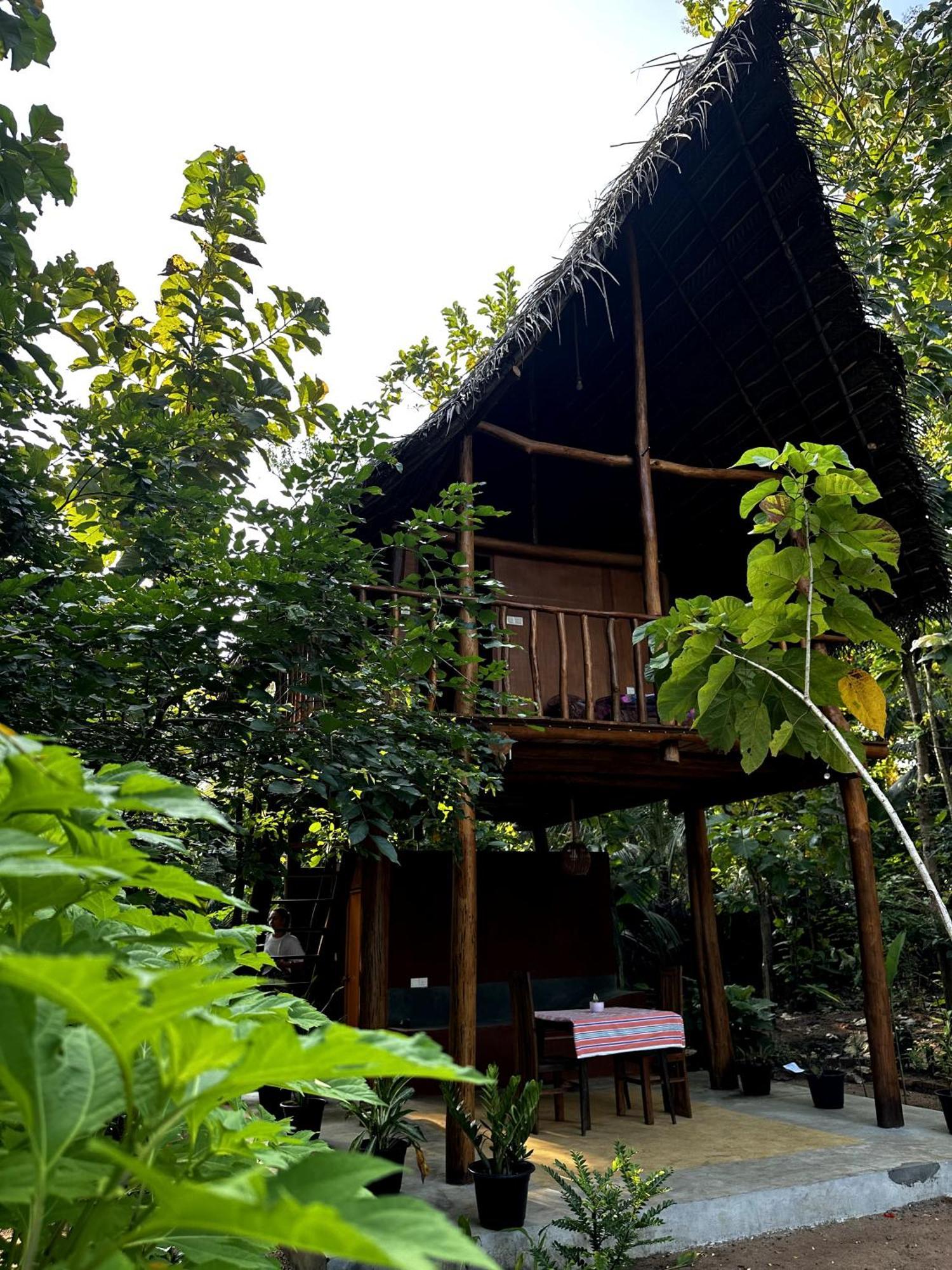 Pidurangala View Treehouse Leilighet Sigiriya Eksteriør bilde