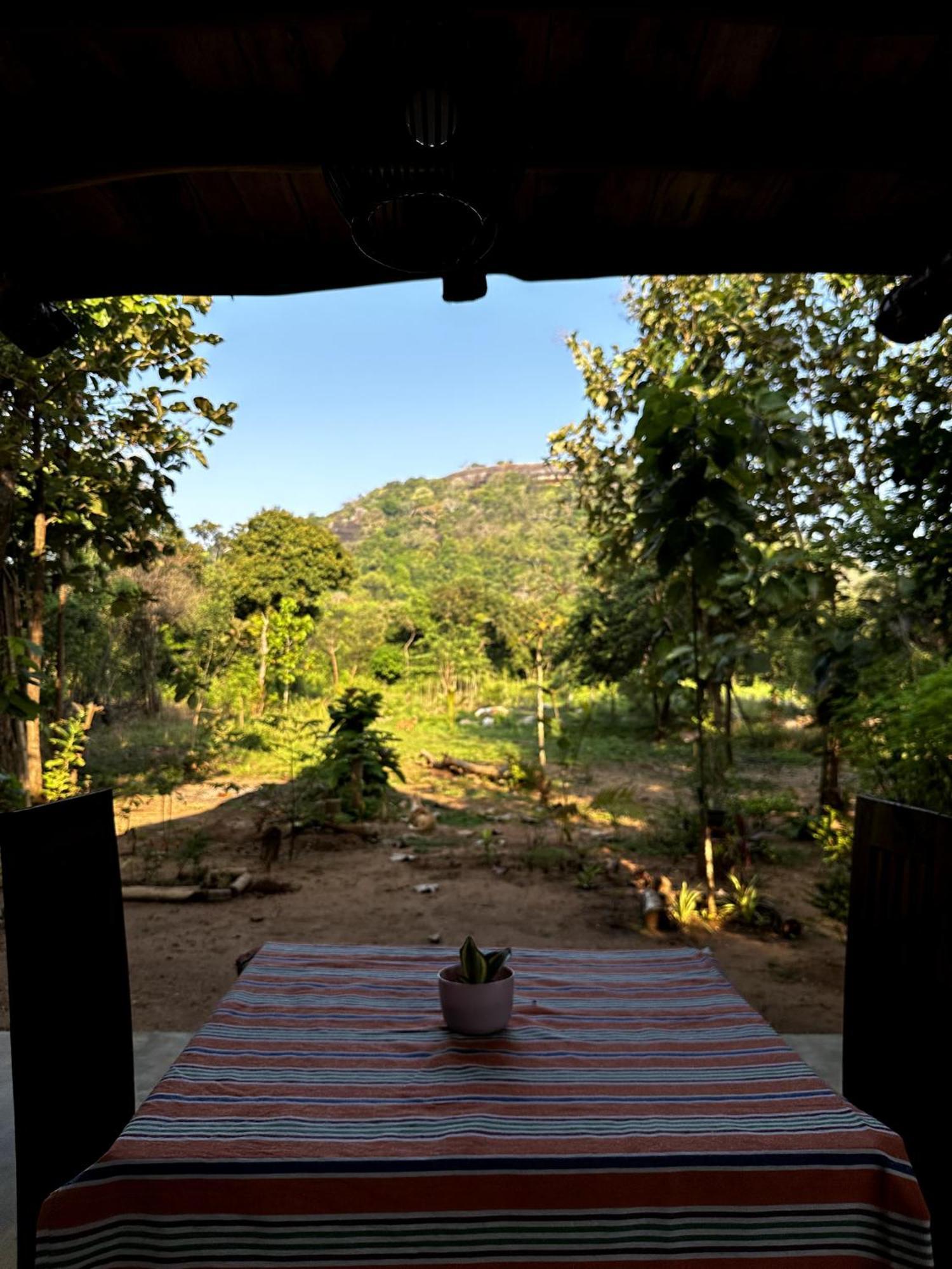 Pidurangala View Treehouse Leilighet Sigiriya Eksteriør bilde