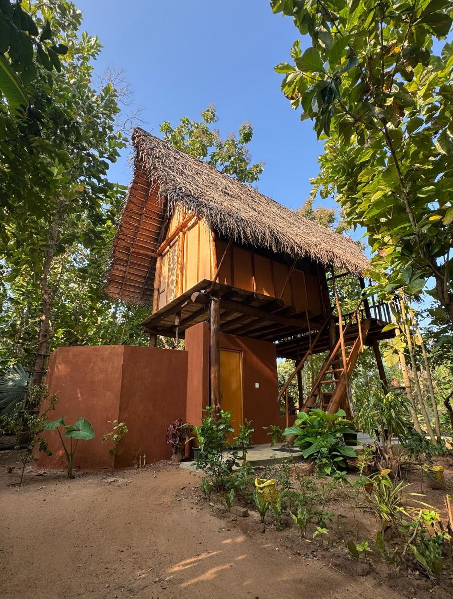 Pidurangala View Treehouse Leilighet Sigiriya Eksteriør bilde