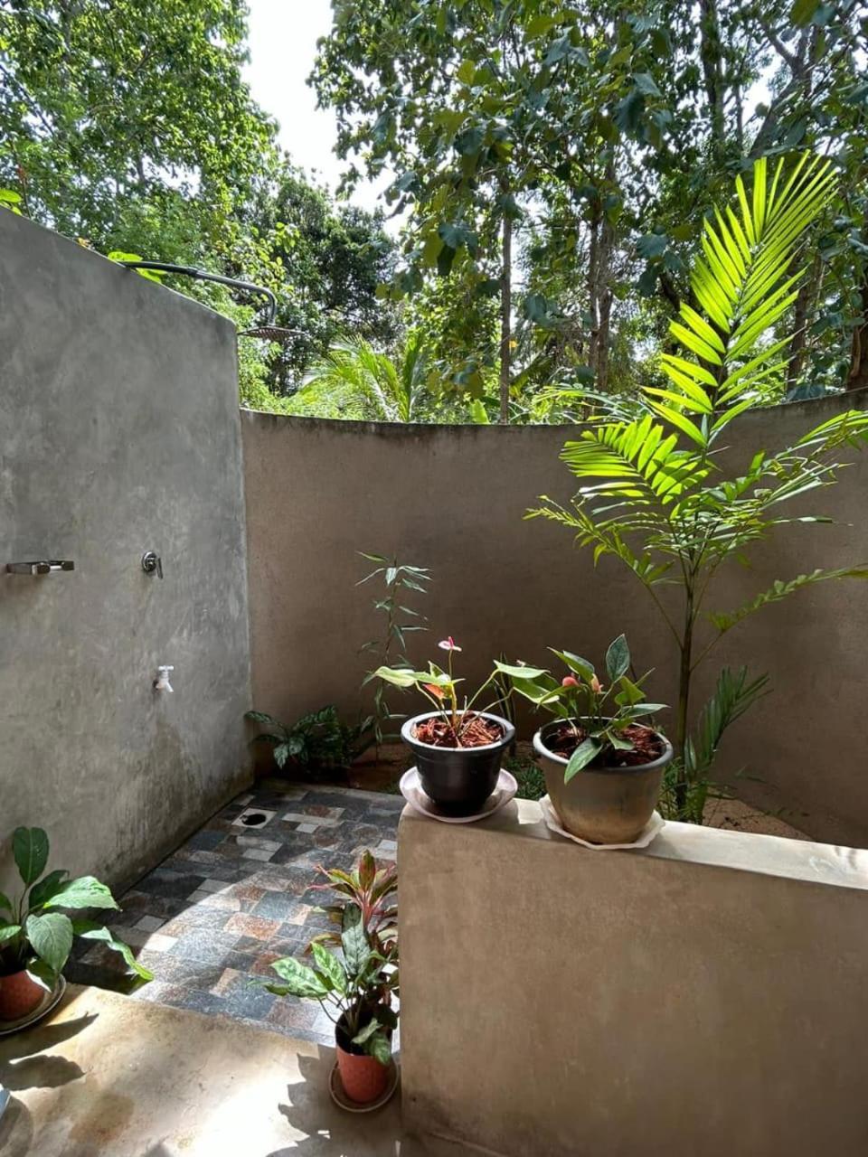 Pidurangala View Treehouse Leilighet Sigiriya Eksteriør bilde
